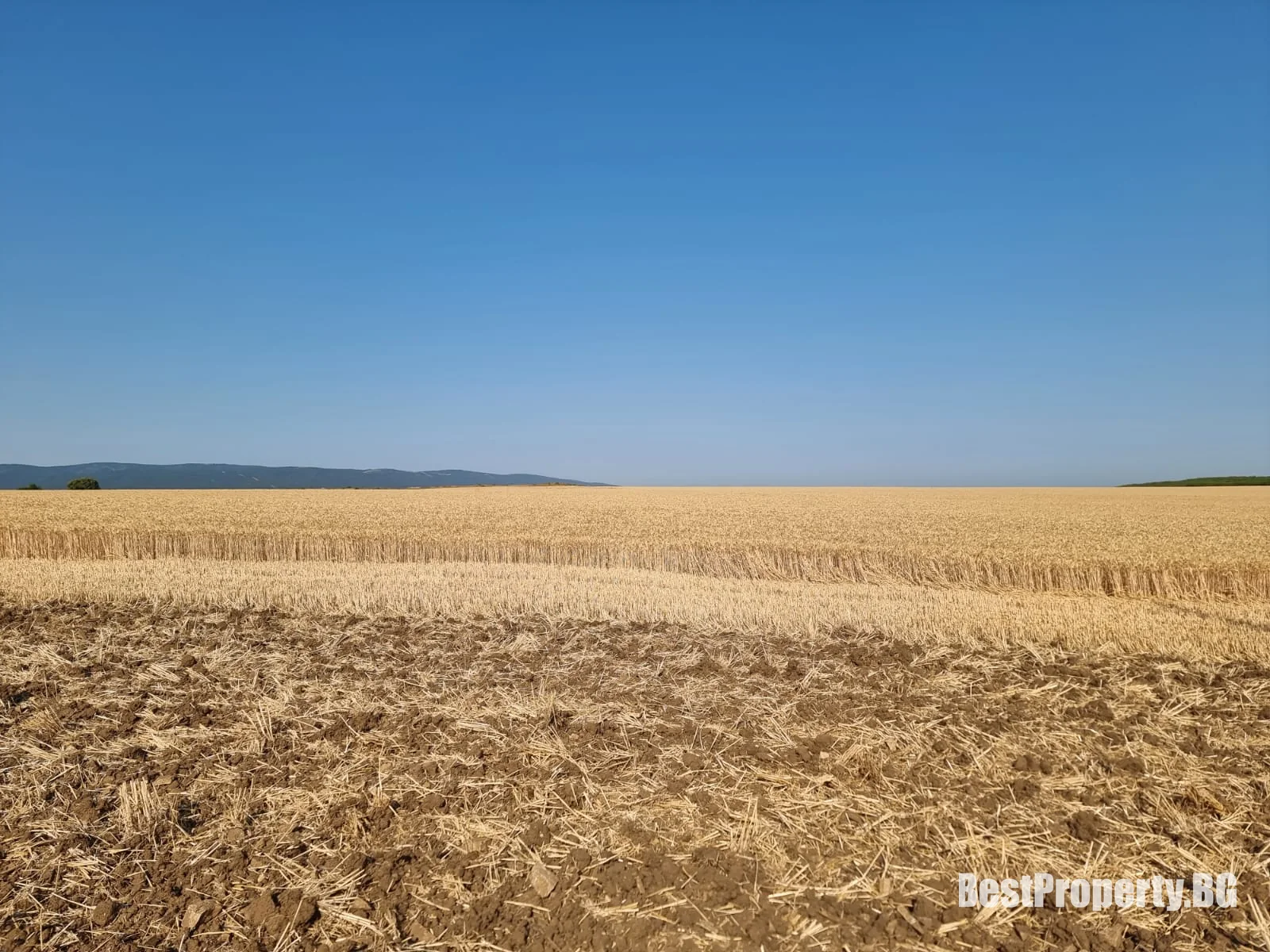 Działka na sprzedaż w Tankowo – Tankowo