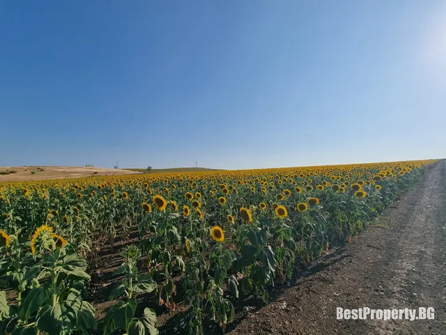 Działka na sprzedaż w Tankowo